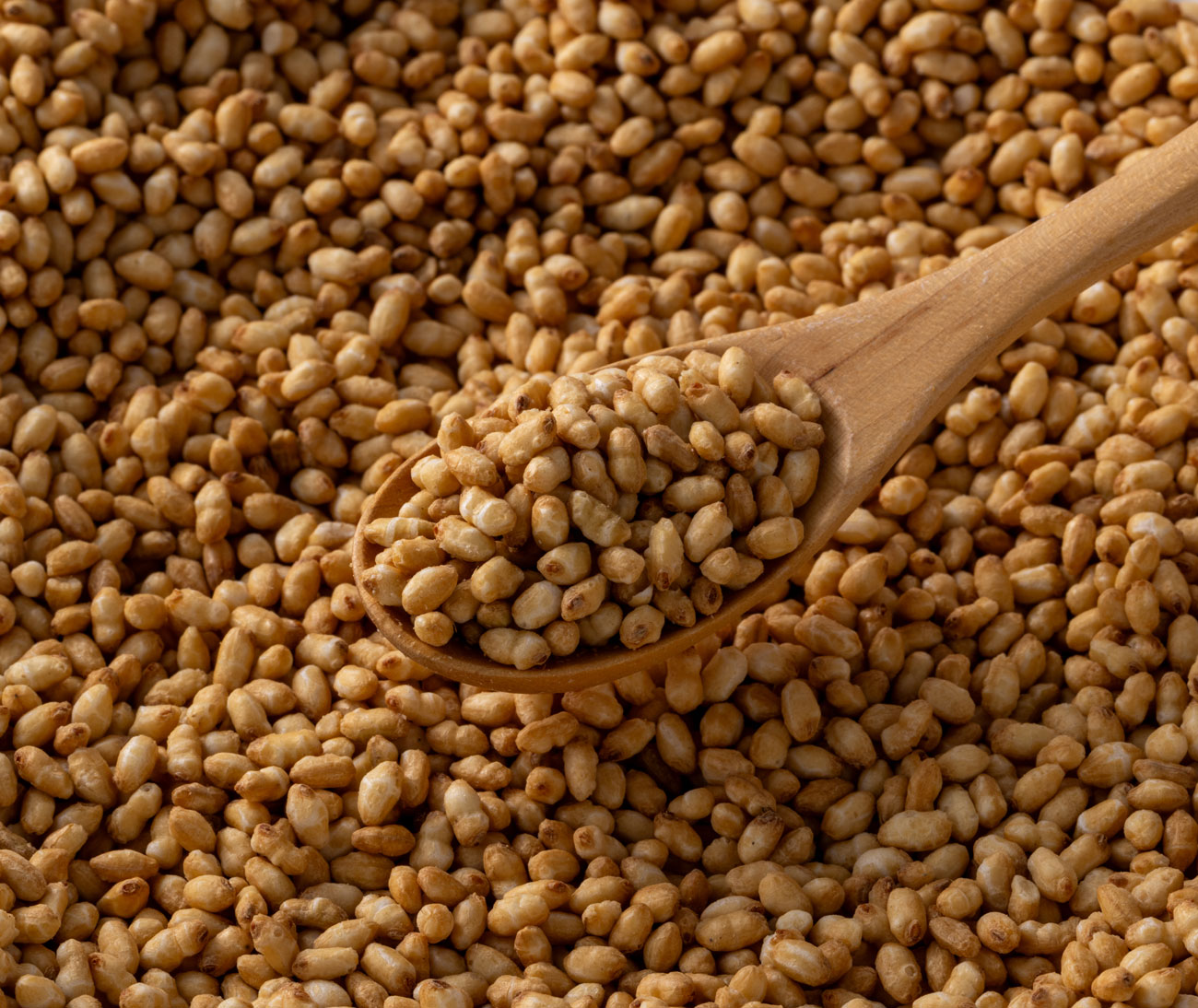 深煎ローストBR-M（粒）